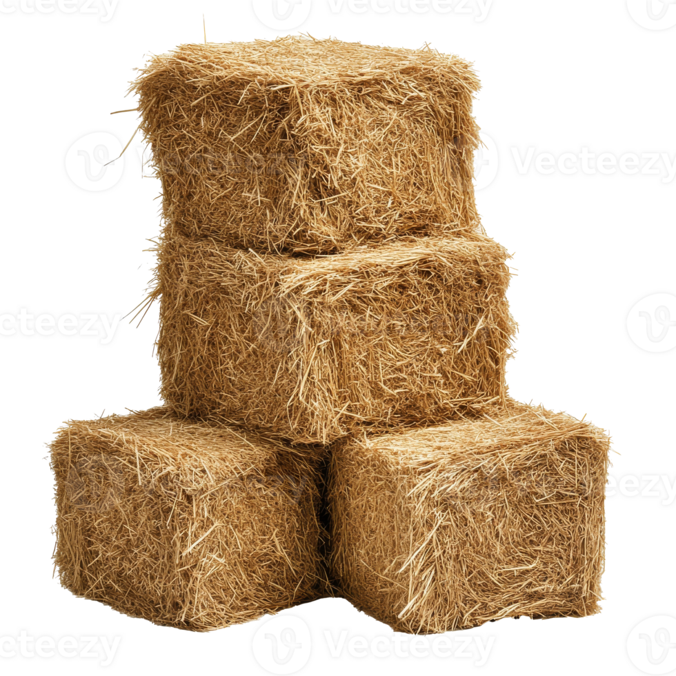 Daytime hay bales stacked in the countryside png