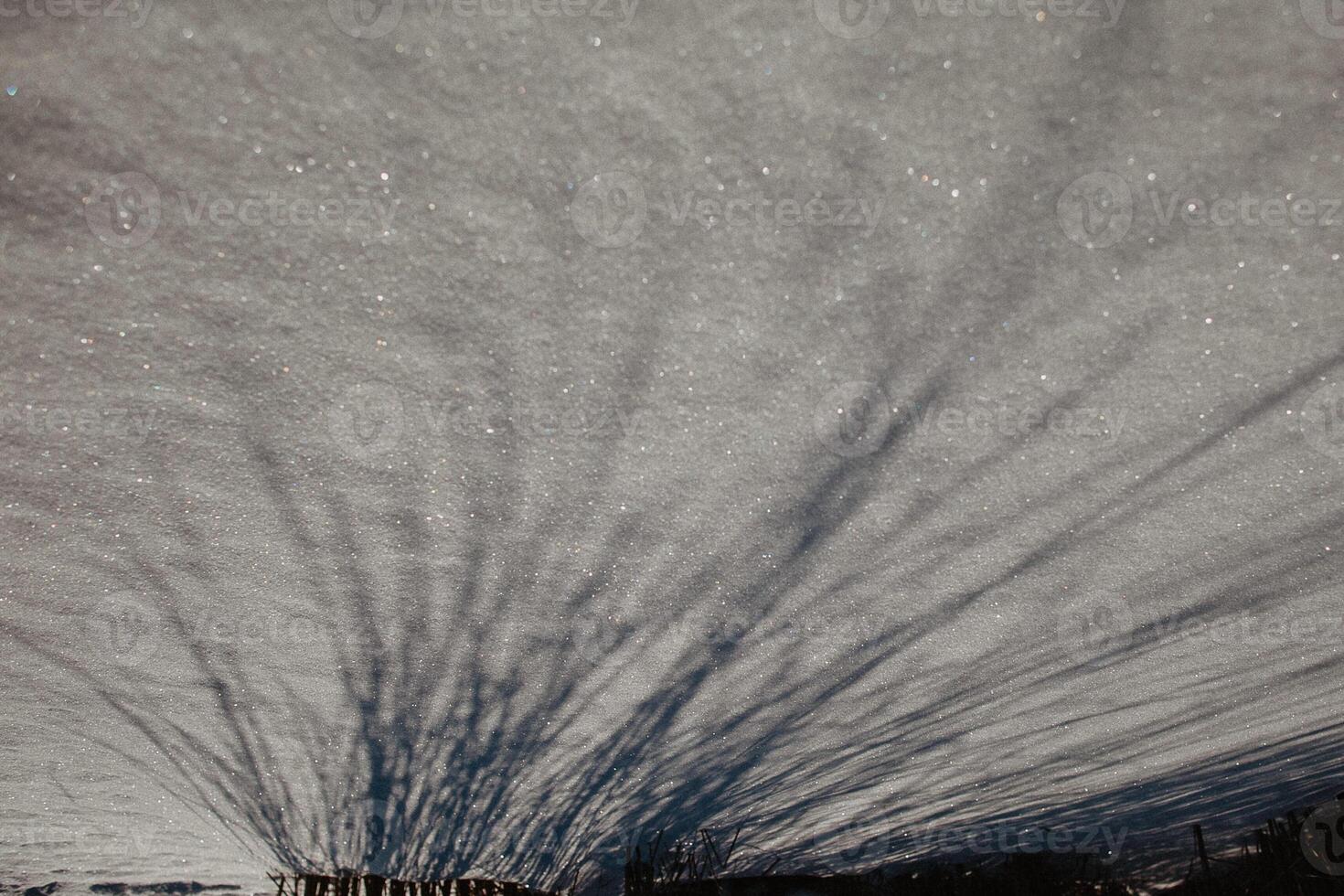 shadow in the snow, thin lines of shadow on white snow, winter drawing, abstraction, natural, art, background photo