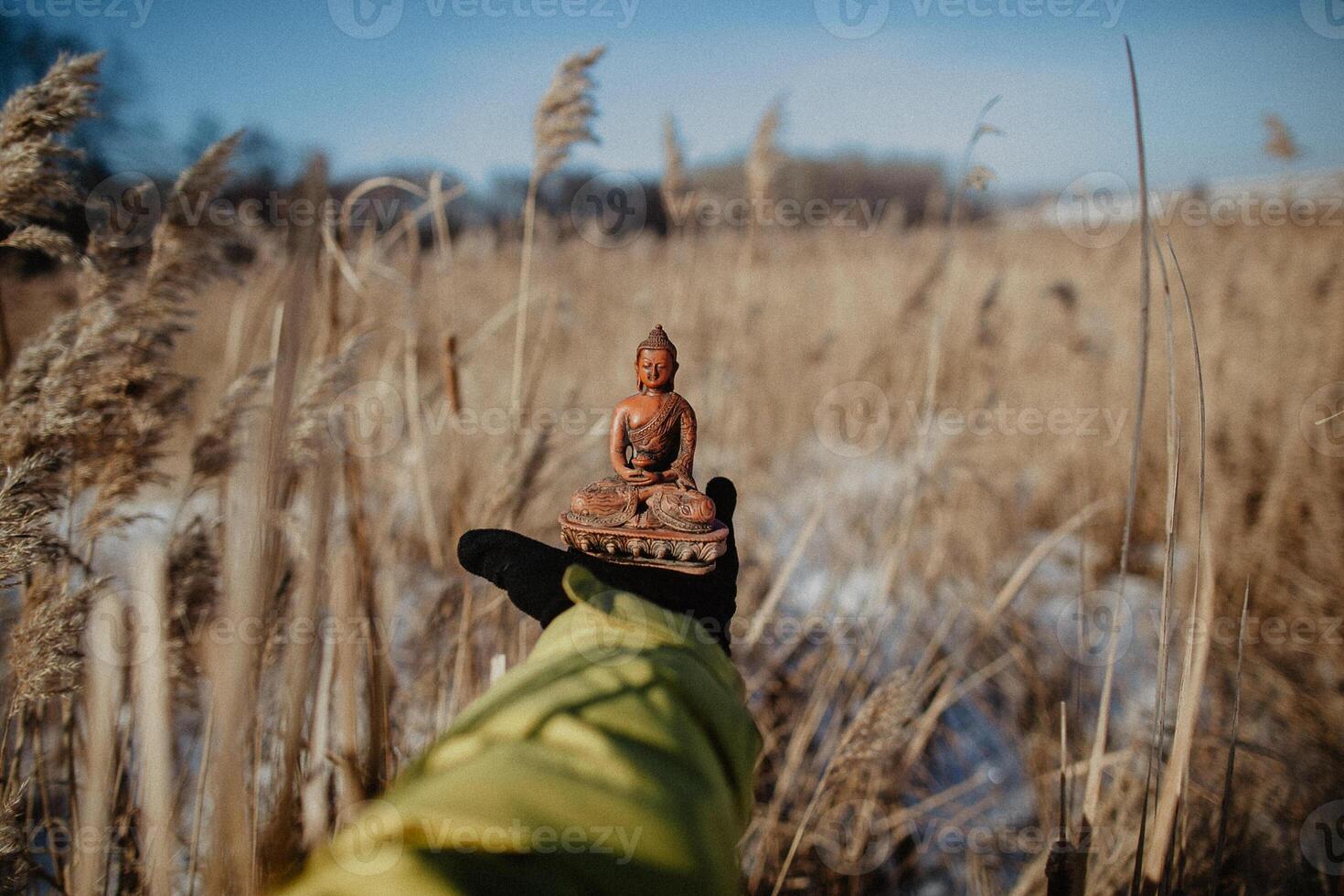 buddha, porcelain statue of buddha, brown statue of buddha lying on the hand, buddha on the background of nature, calm, relaxation, peace, balance photo