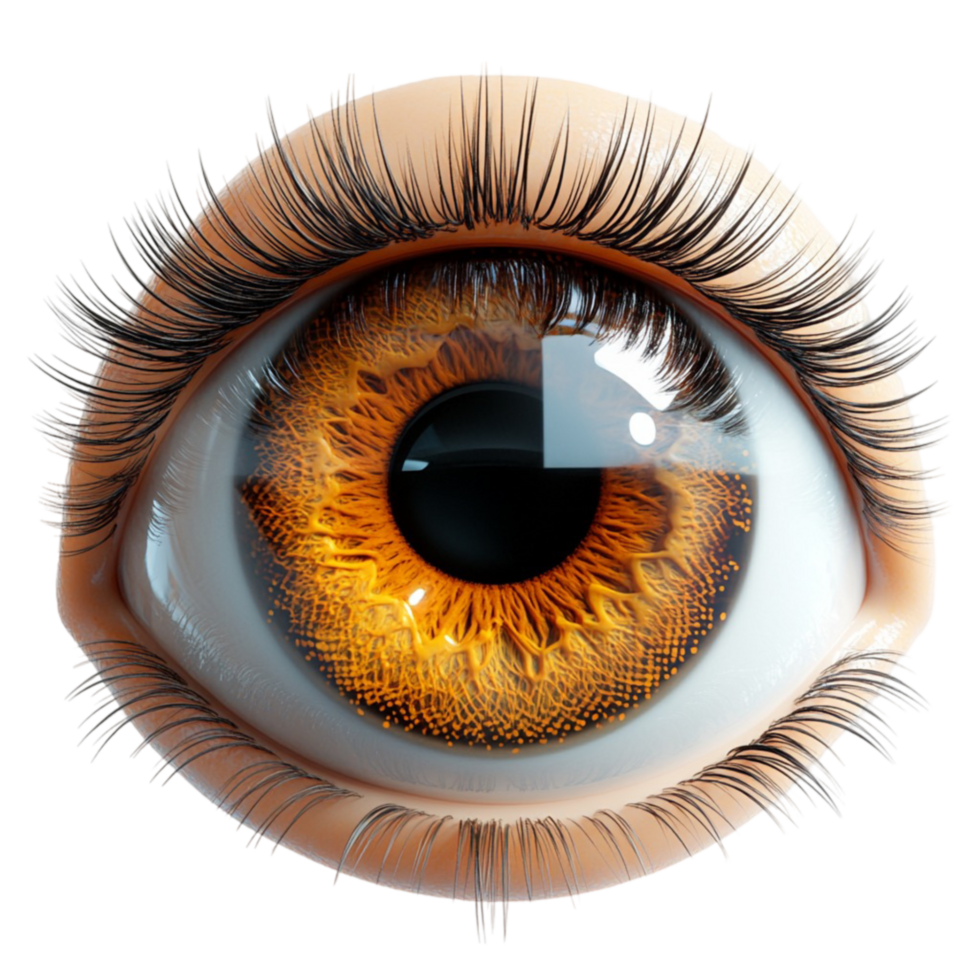 A Multicolored Eyes on Transparent Canvas png