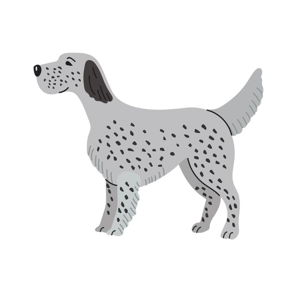 English setter icon clipart avatar logotype isolated illustration vector