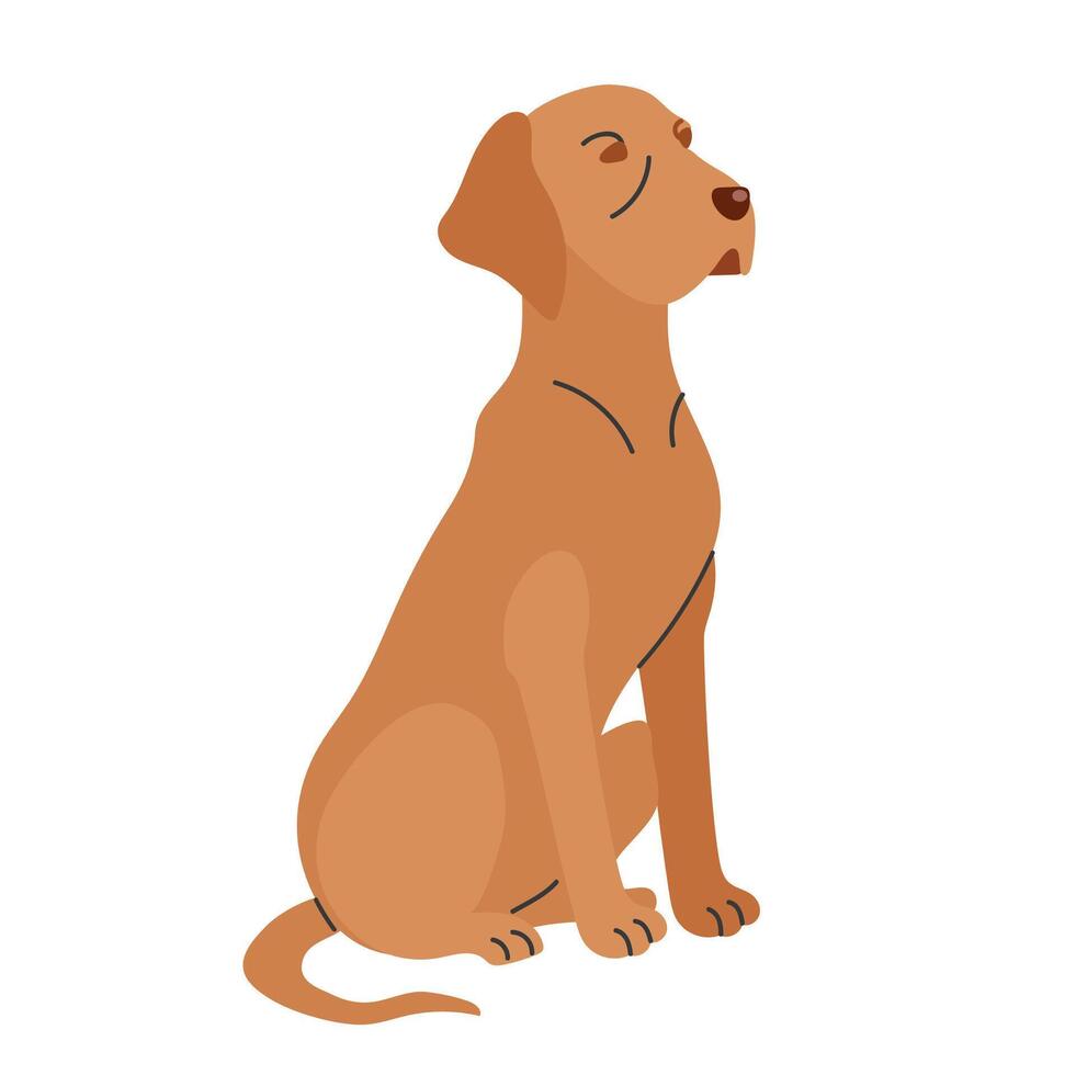 Vizsla icon clipart avatar logotype isolated illustration vector