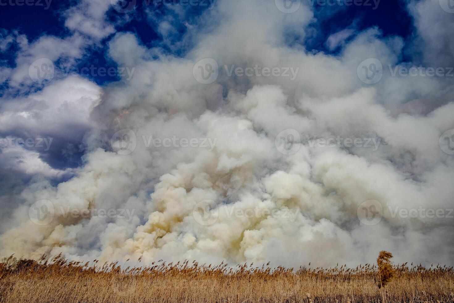 smoke fire in the steppe. white thick smoke forest fire. smell of smoke. The grass is burning. disaster. disaster of nature. environmental disaster photo