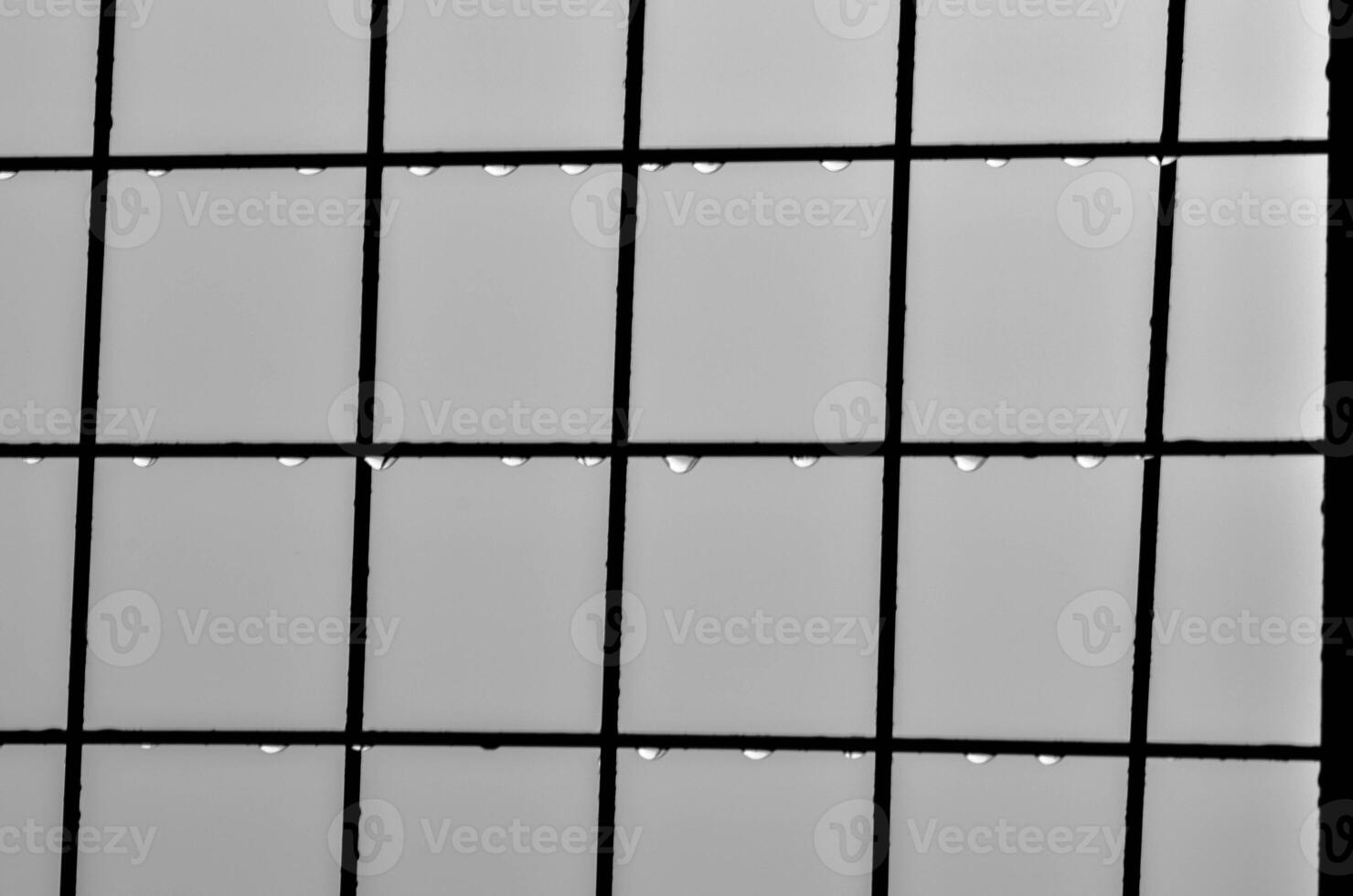 Raindrops on Grid Window Pane in Black and White photo