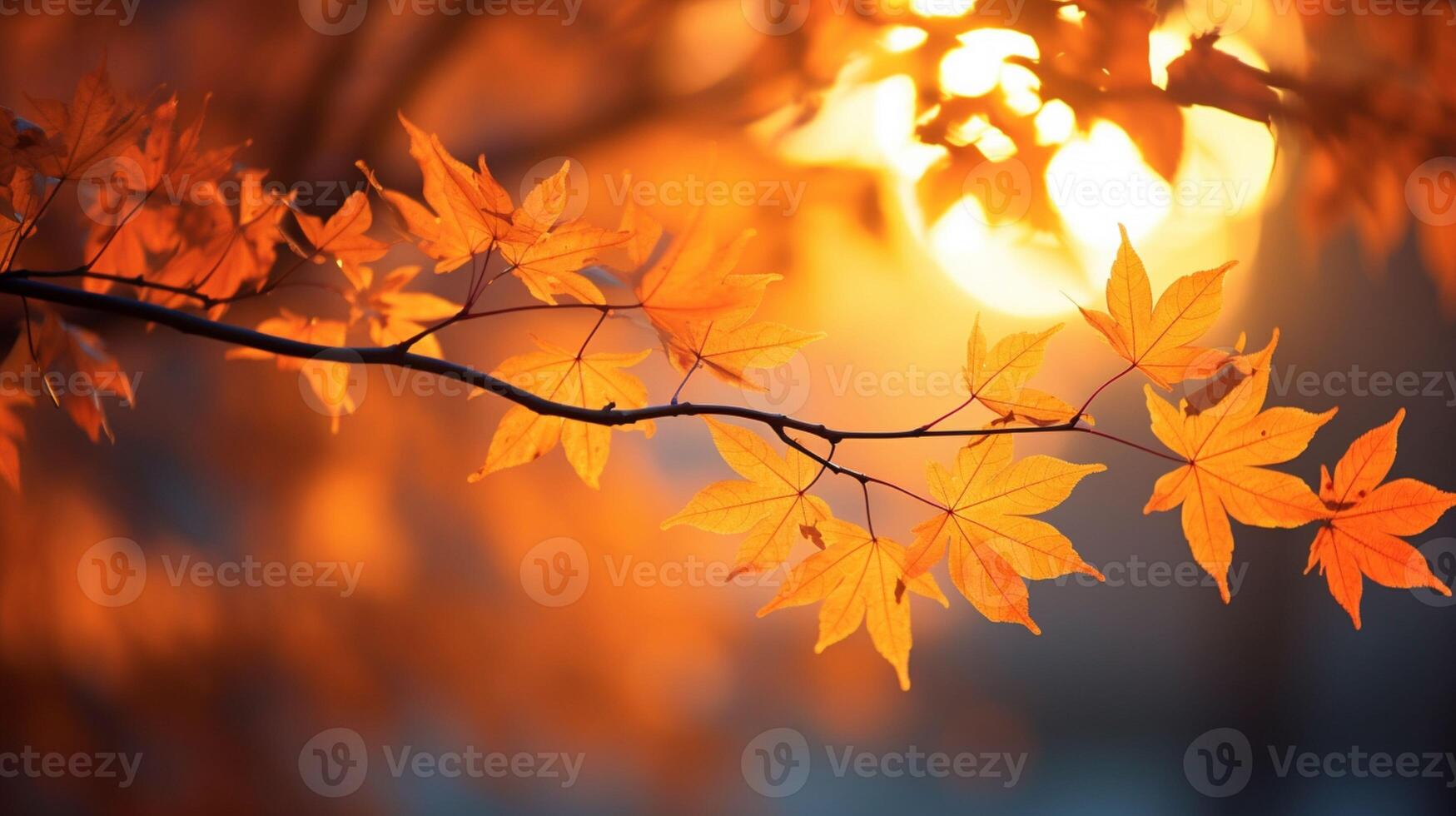 Glowing Autumn Gold October Leaves by Soft Sunlight with Warm Beige Background, banner photo