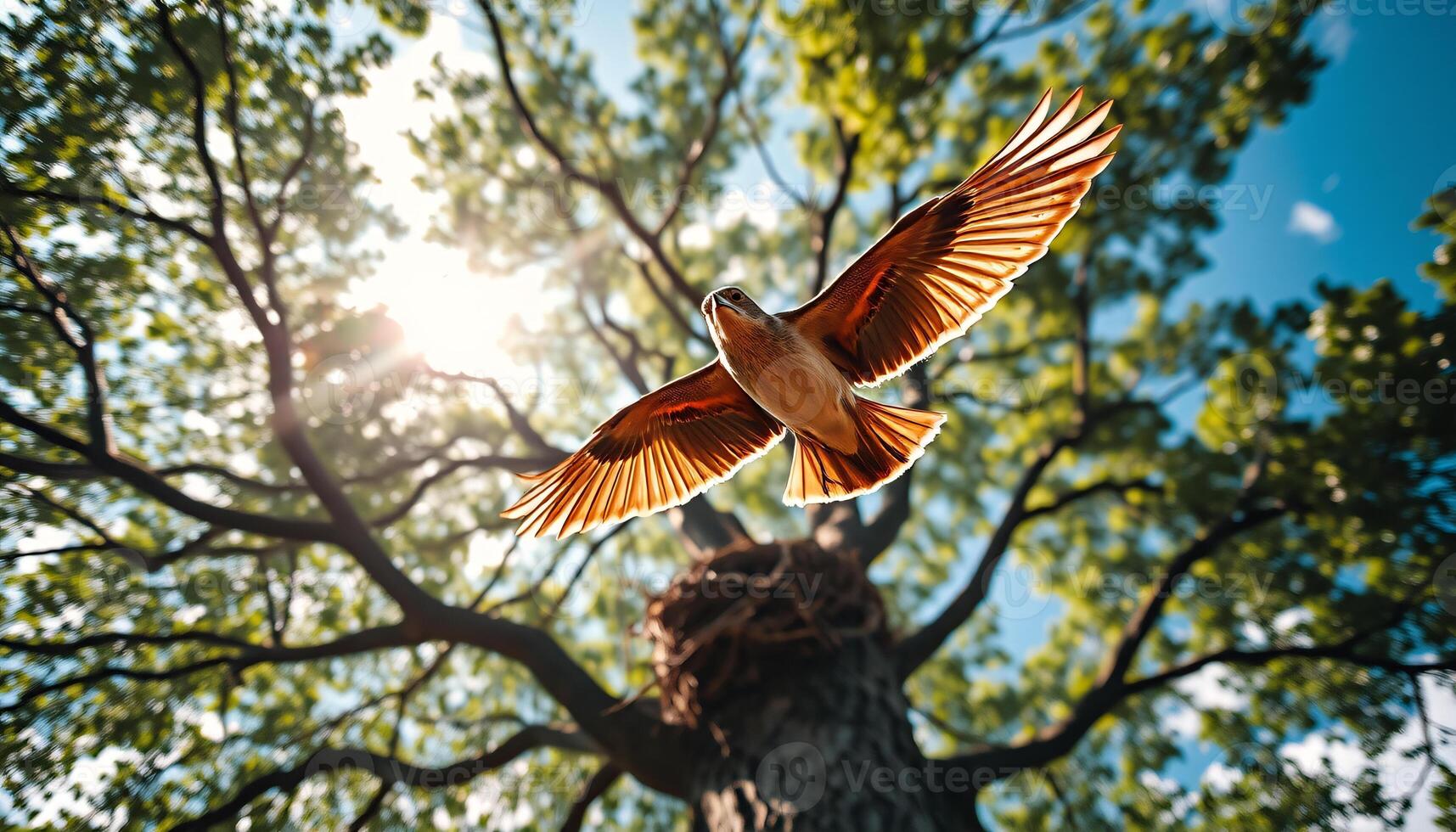 A bird flying over a tree with its wings spread photo