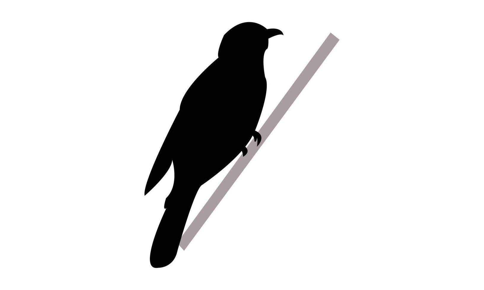 Common Hawk Cuckoo Black Silhouette Design And Illustration. vector