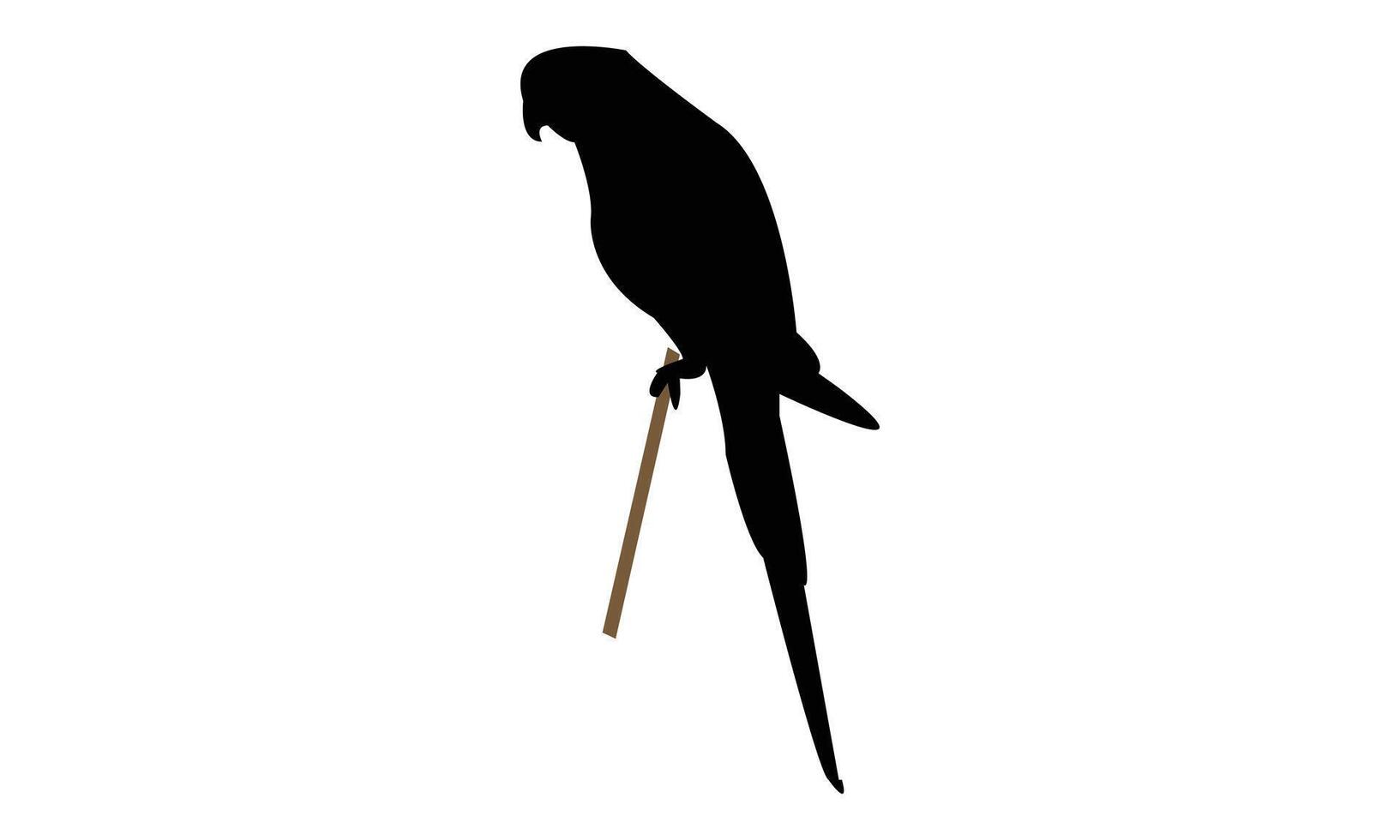 Sitting Parrot Black Silhouette vector