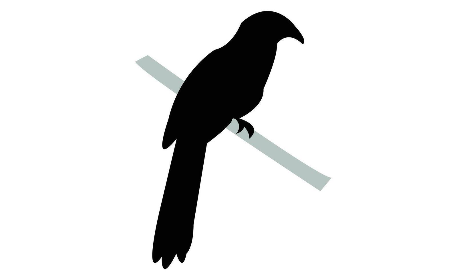 Sitting Crow Pheasant Silhouette vector