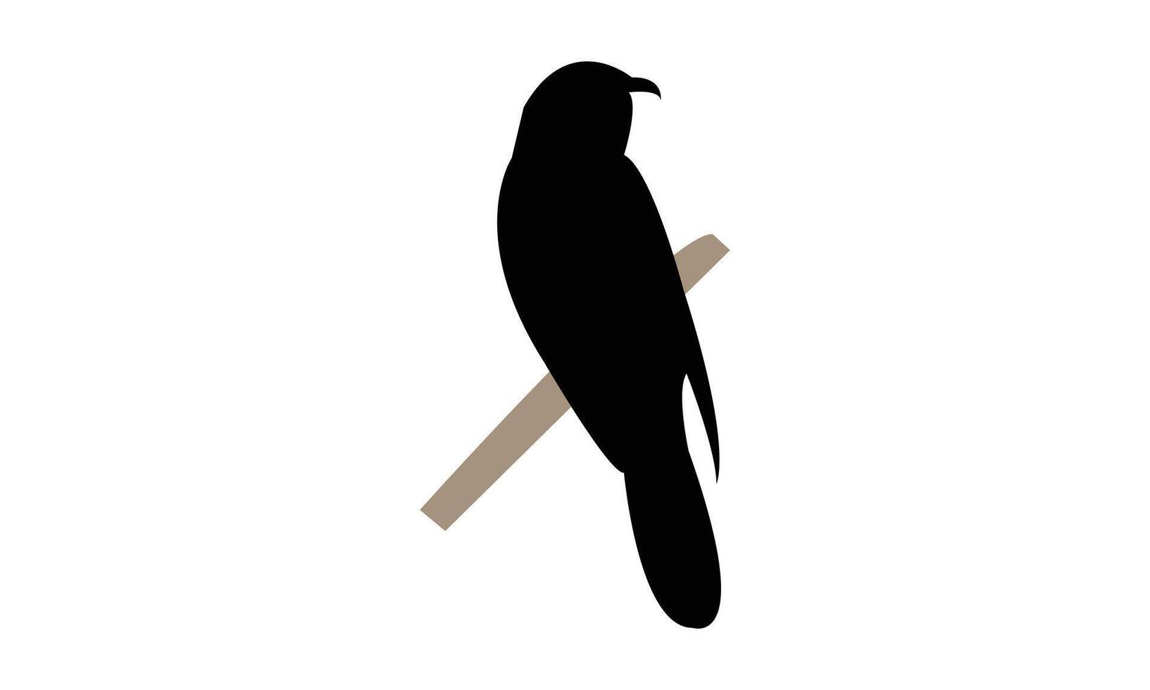Common Hawk Cuckoo Bird Sitting Silhouette Design vector