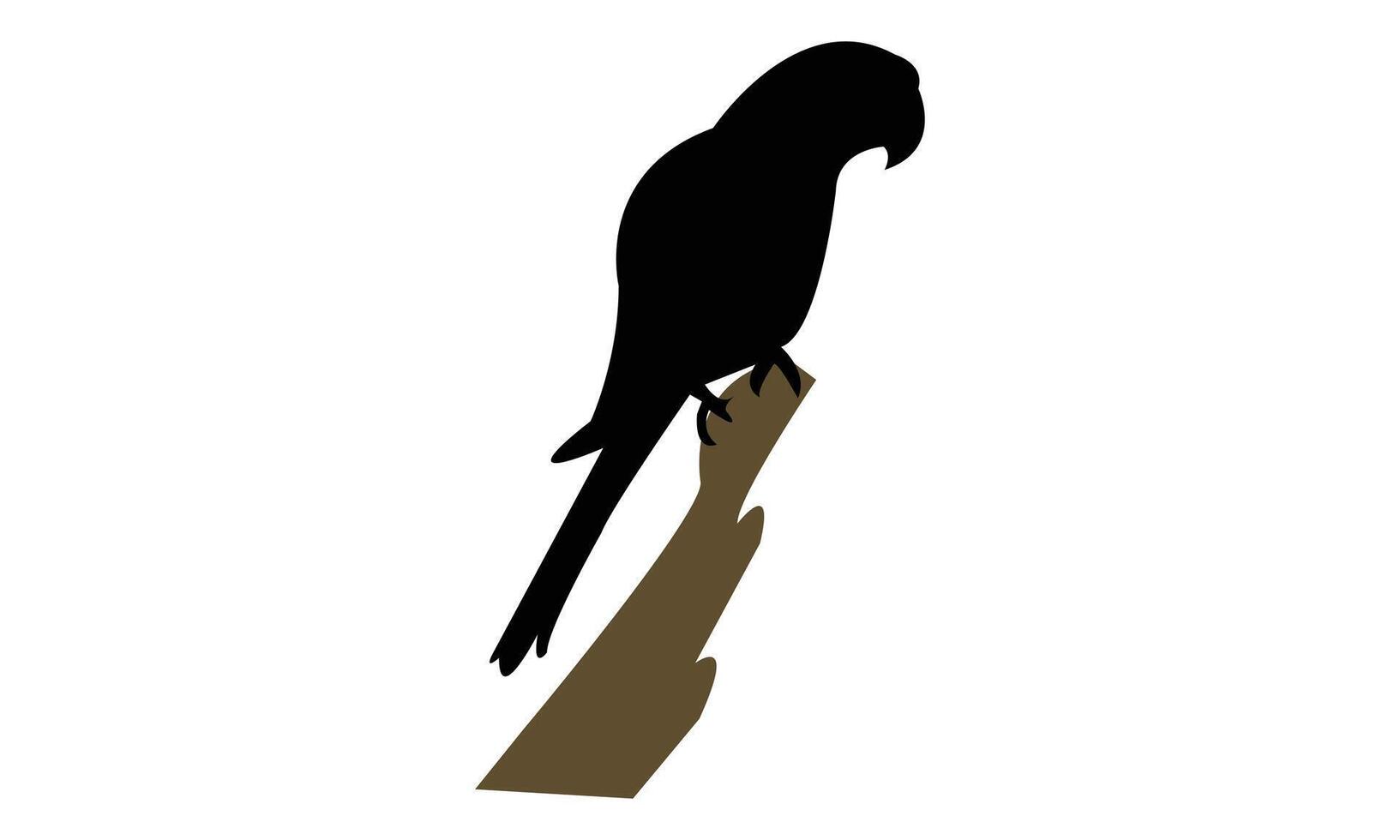 Sitting Parrot Silhouette vector