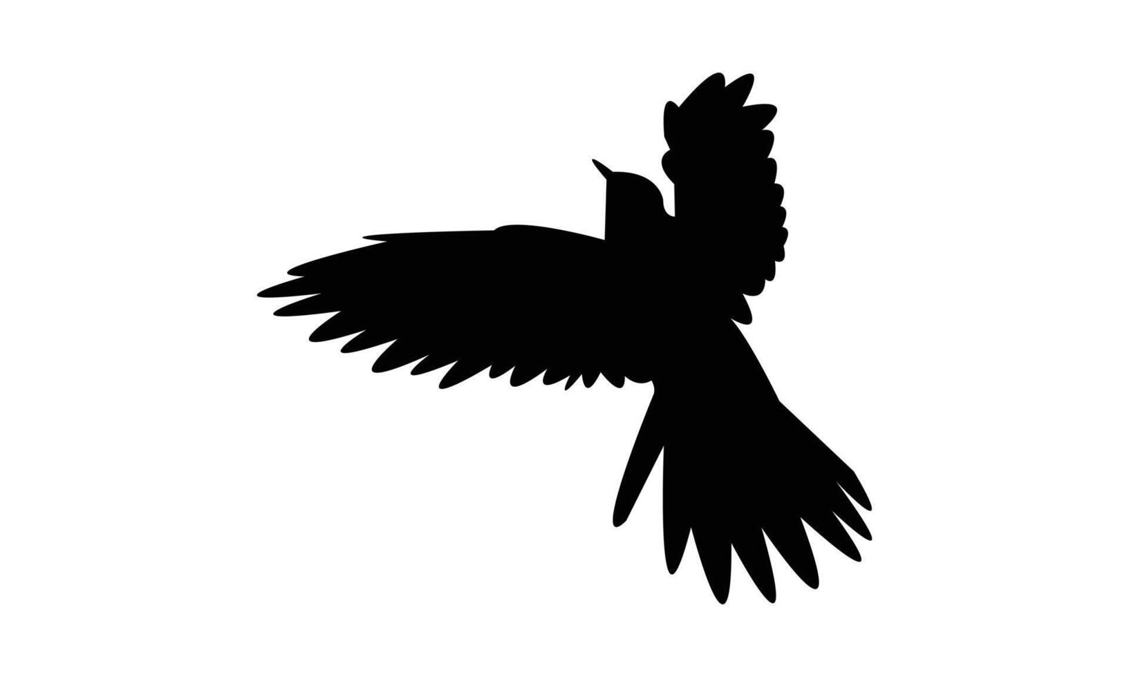 Flying Cuckoo Black Silhouette Design And Illustration vector