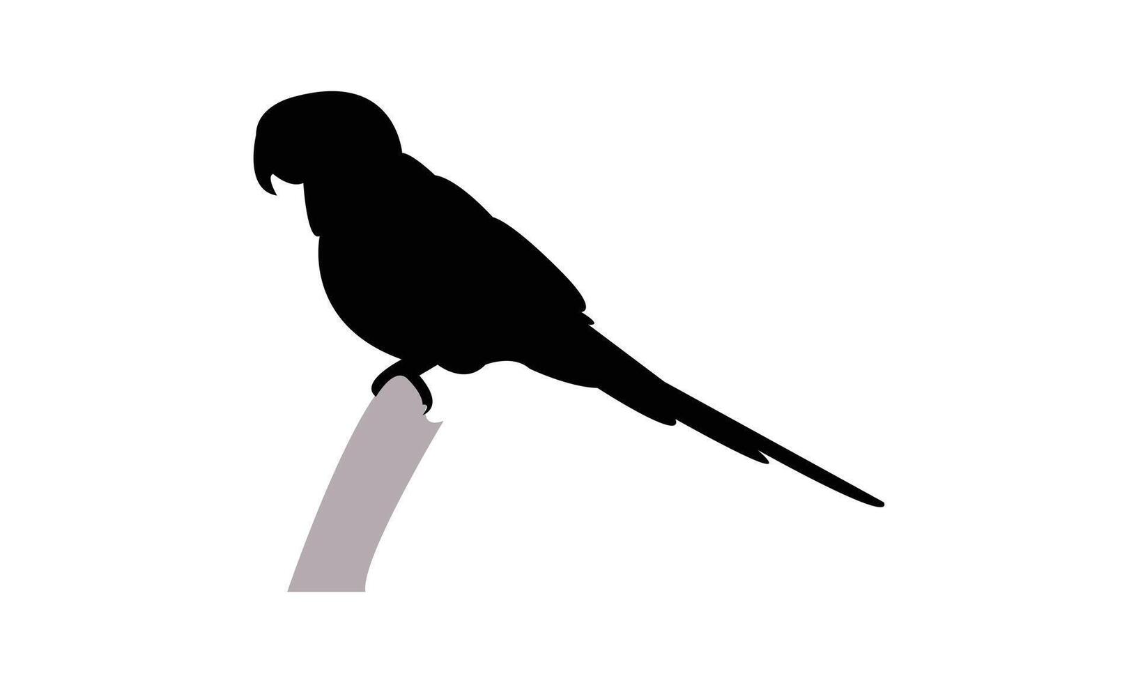 Sitting Parrot Silhouette Design And Illustration. vector