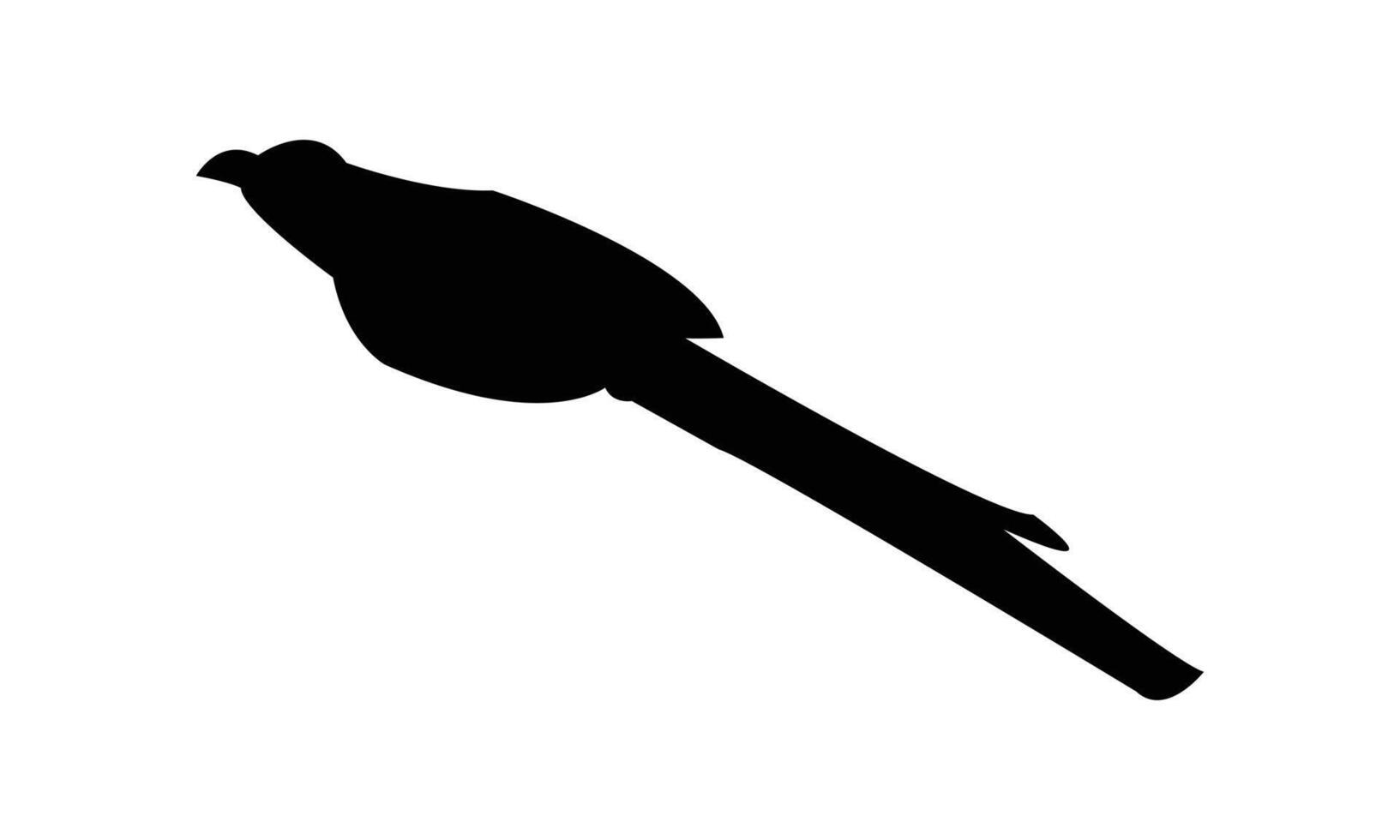 Flying Green Billed Malkoha Silhouette Design vector