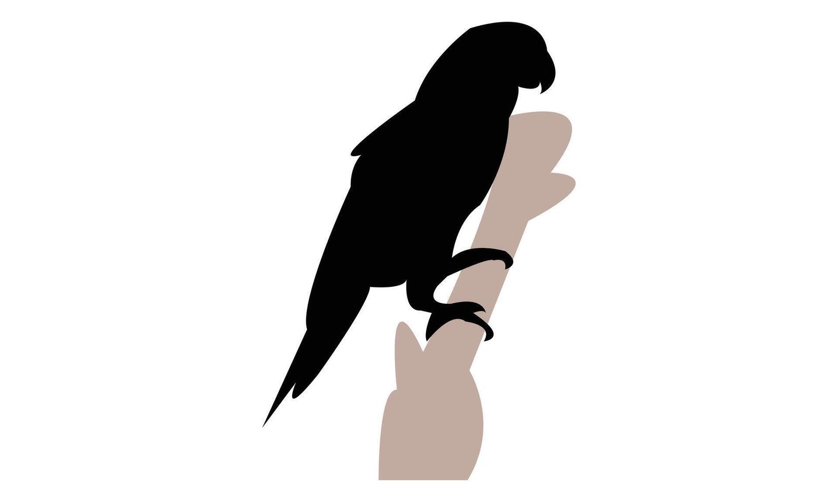 Sitting Parrot Black Silhouette Design And Illustration. vector