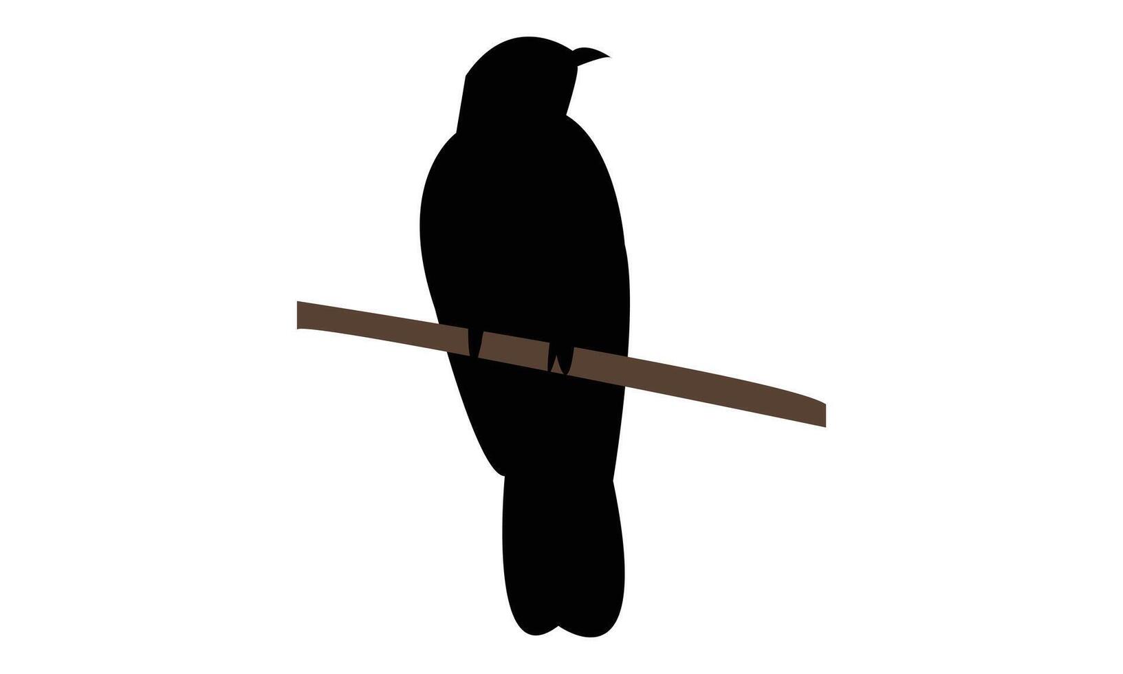 Common Hawk Cuckoo Silhouette Design And Illustration. vector