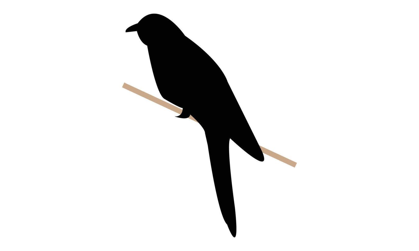Common Hawk Cuckoo Bird Silhouette Design vector