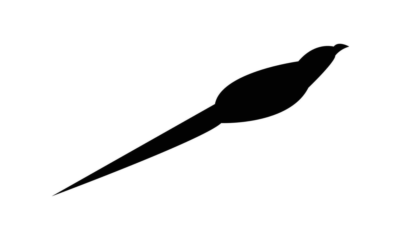 Flying Green Billed Malkoha Silhouette vector