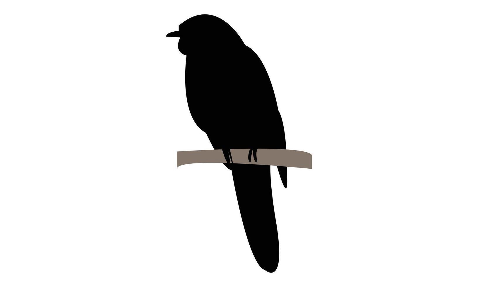 Common Hawk Cuckoo Silhouette vector