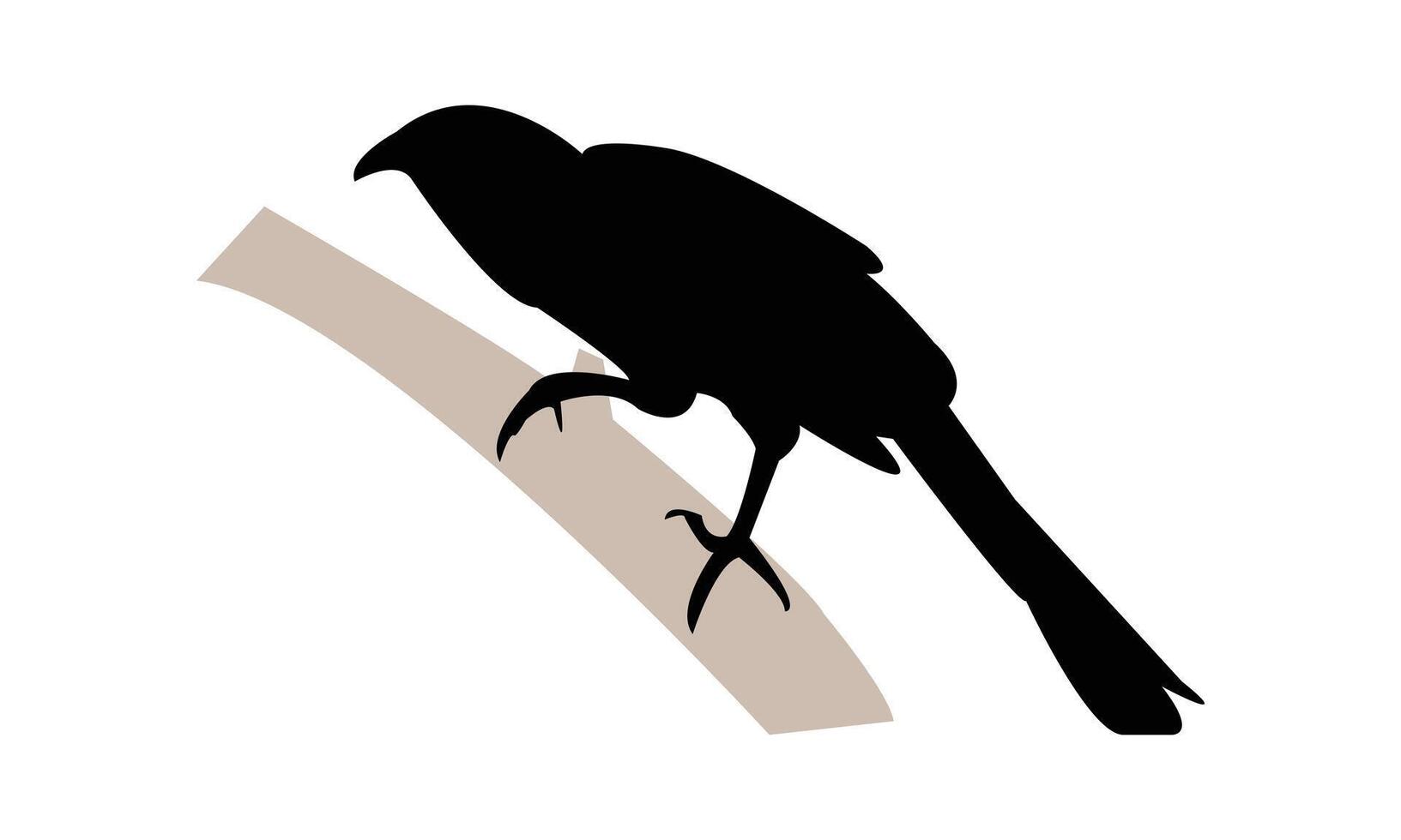 Sitting Crow Pheasant Silhouette Design And Illustration. vector
