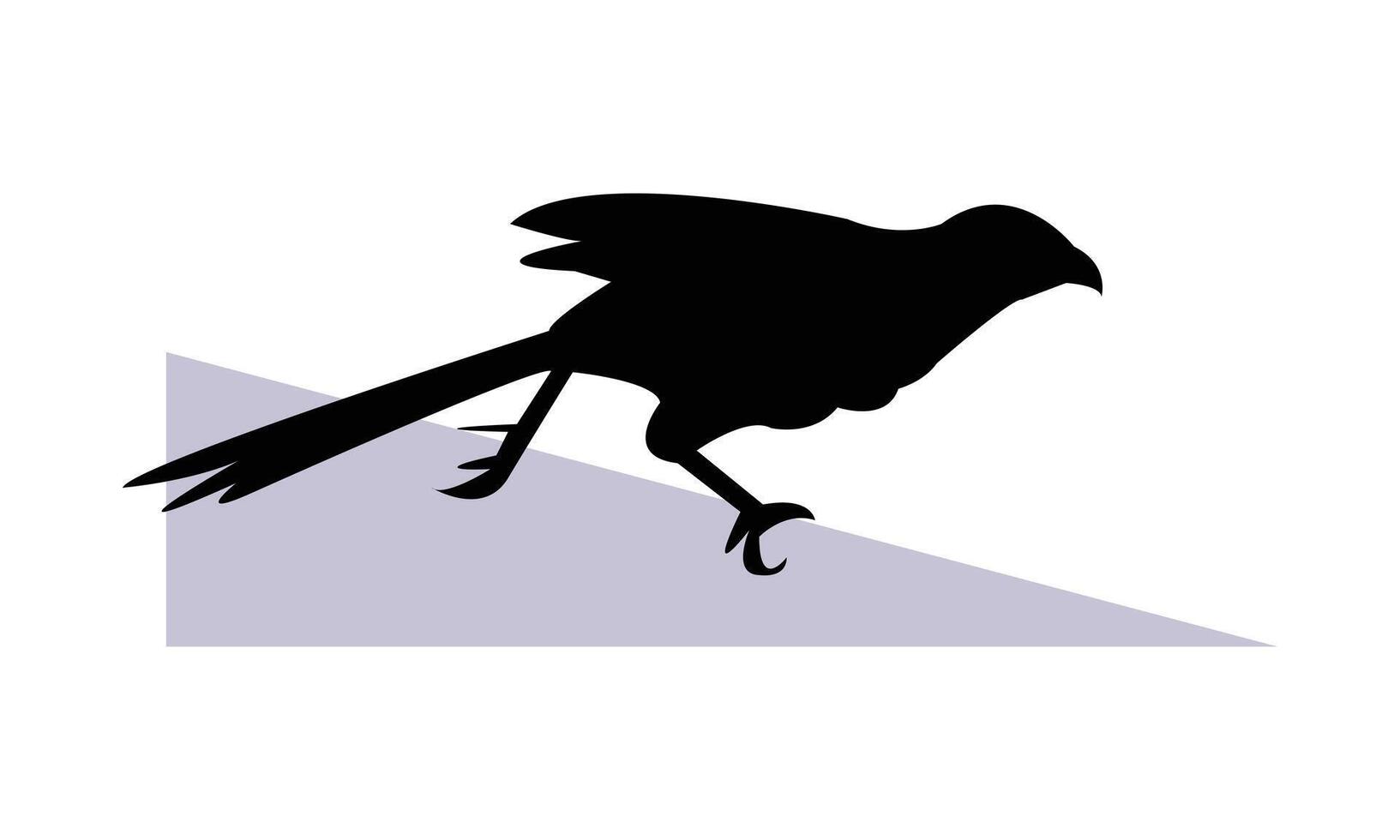 Crow Pheasant Silhouette Design vector