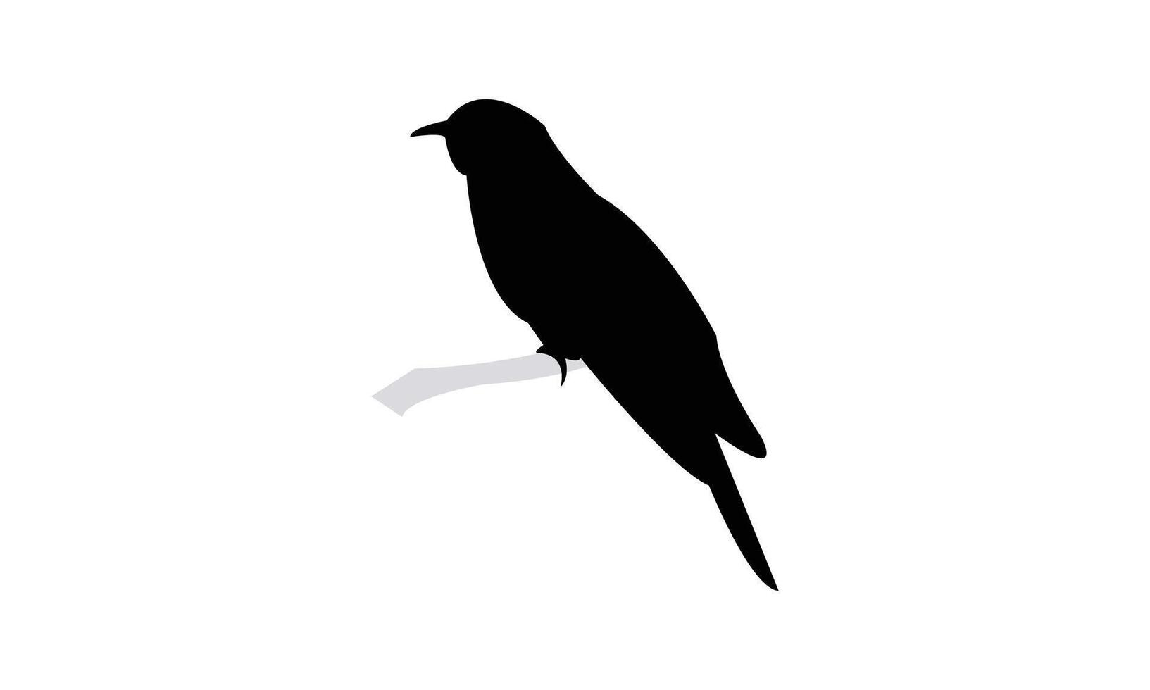 Common Hawk Cuckoo Bird Silhouette vector