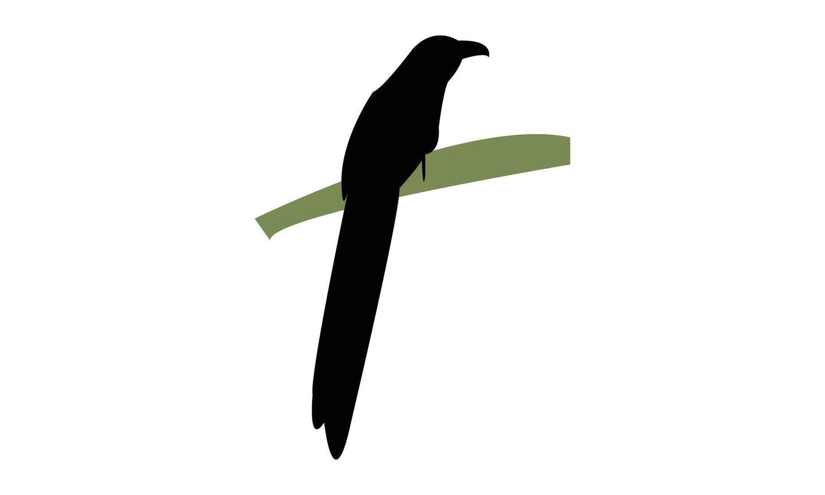 Green Billed Malkoha Silhouette vector