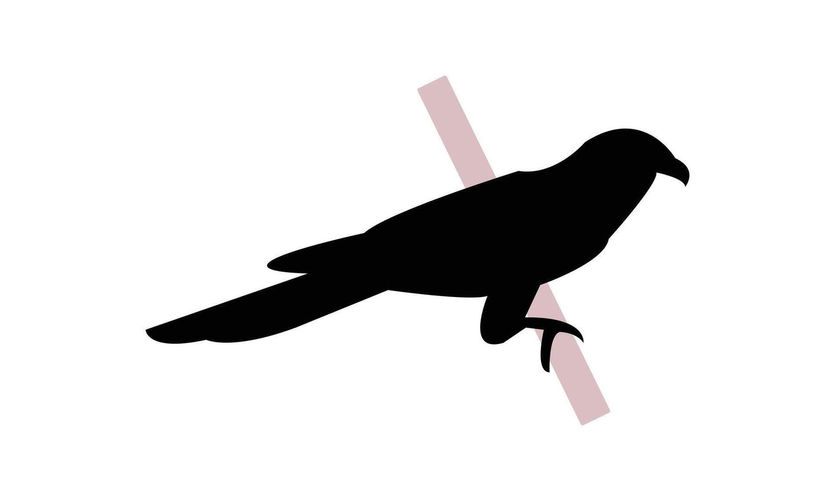 Cuckoo Silhouette Design And Illustration. vector