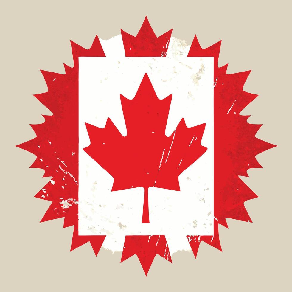 a canadian flag with a maple leaf on it vector