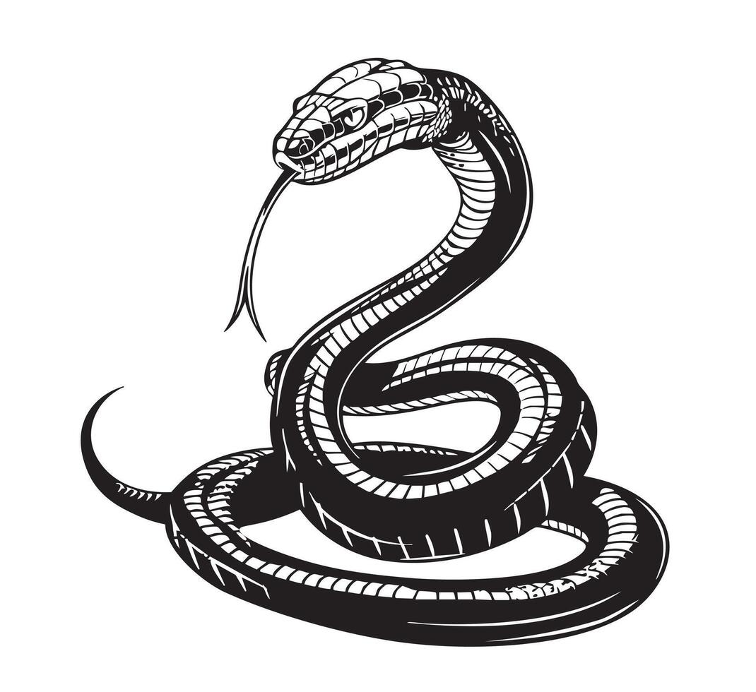 A black and white drawing of a snake vector