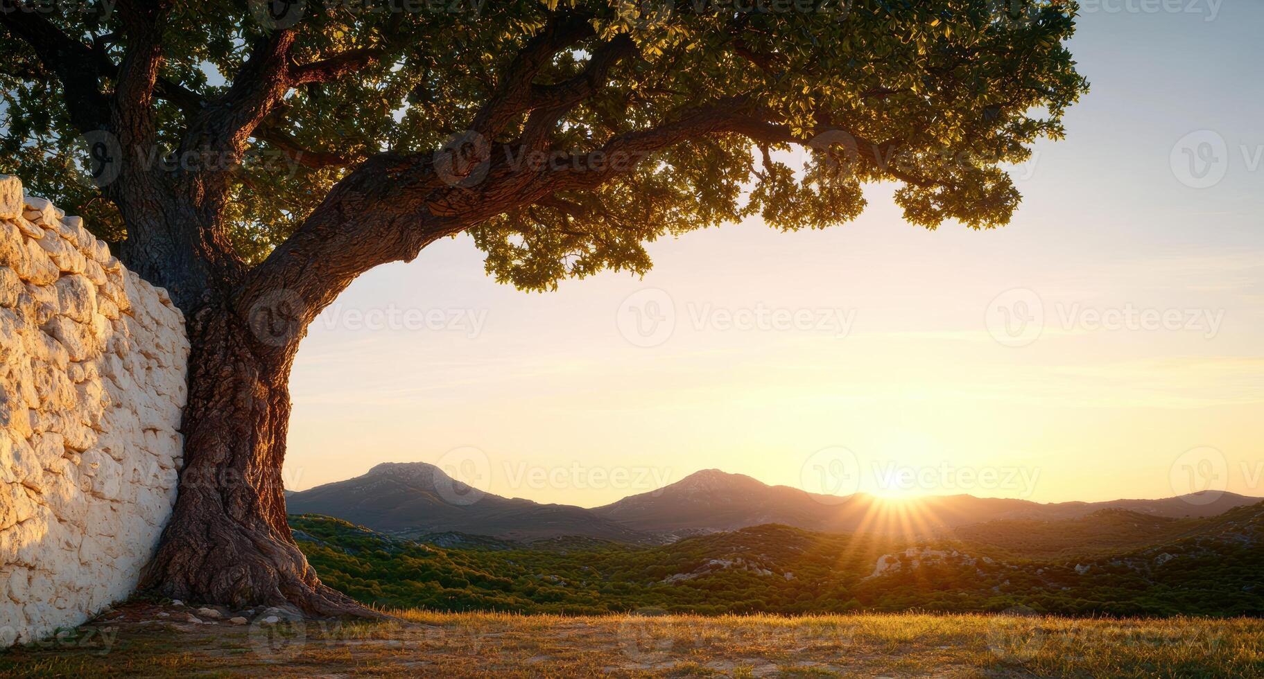 Serene landscape with majestic tree and mountain sunset photo