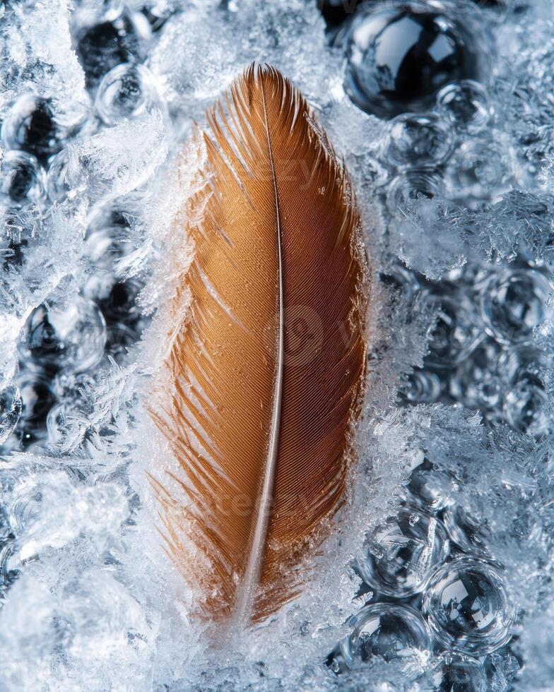 Frozen feather in icy winter landscape photo