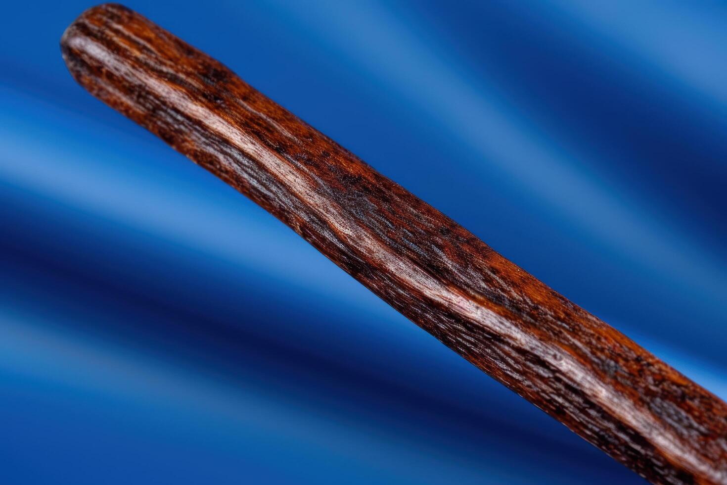 Closeup of a wooden stick or branch against a blue background photo