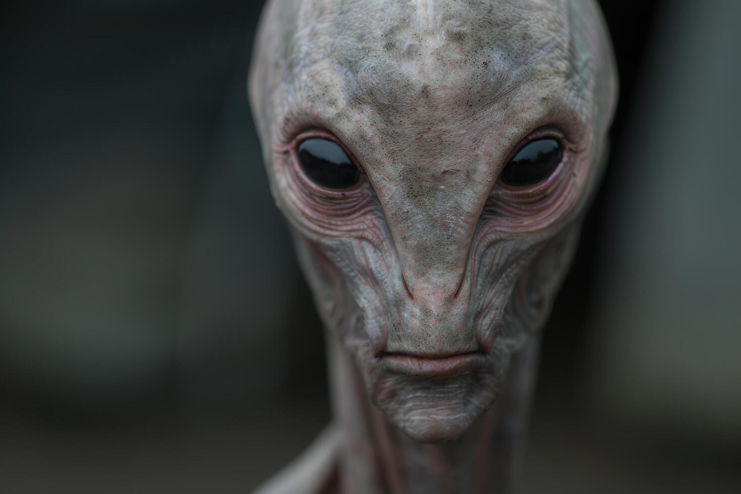 Mysterious alien face with large eyes and wrinkled skin photo