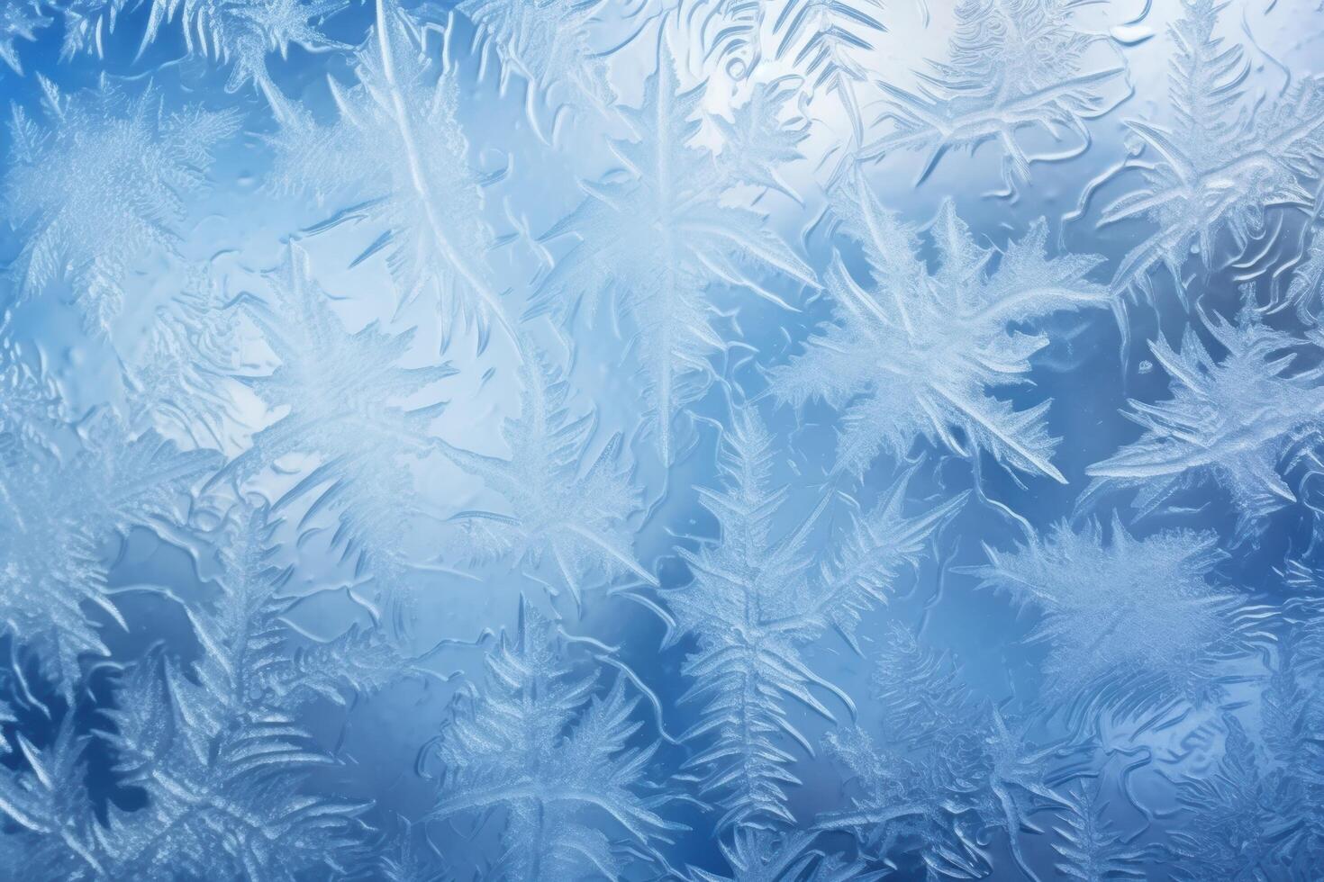 Intricate frost patterns on a frozen window photo