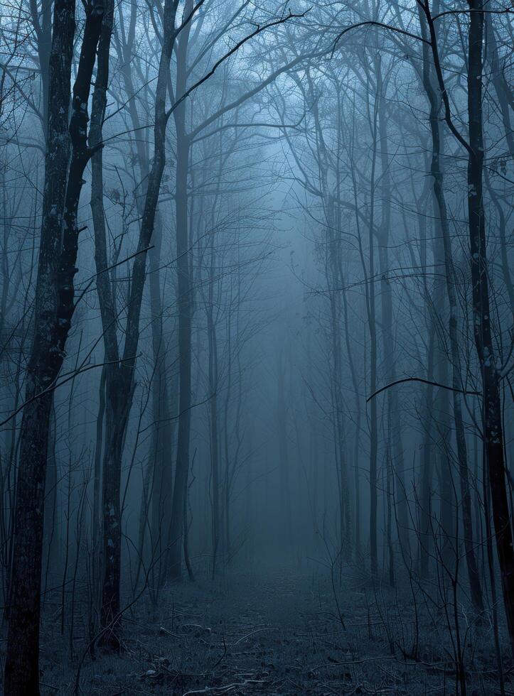 Eerie forest path in the mist photo