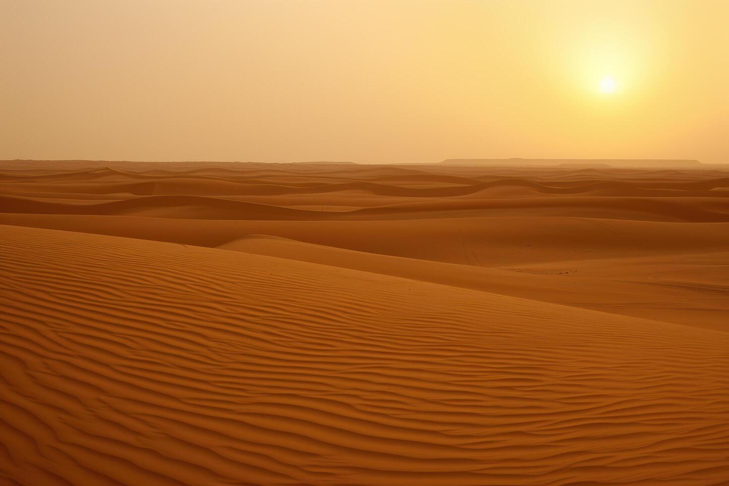 Stunning desert landscape at sunset photo
