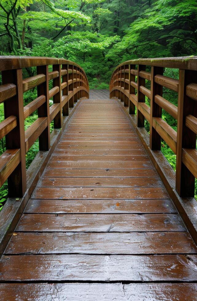 Wooden bridge in lush green forest photo