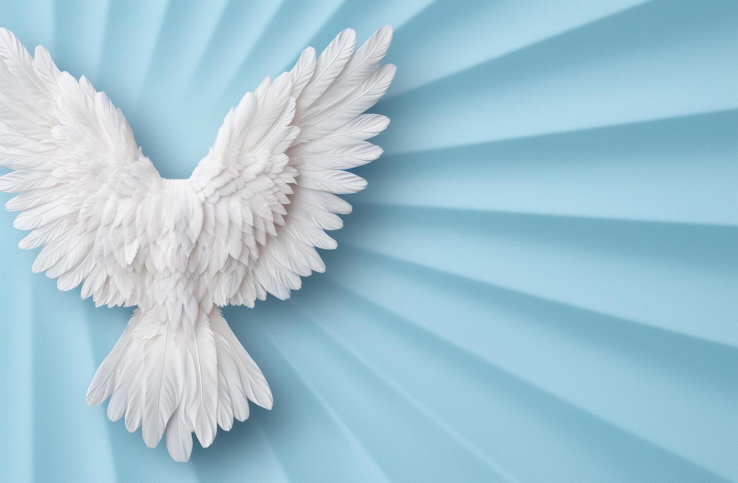 Angelic white feather wings against a blue sky photo