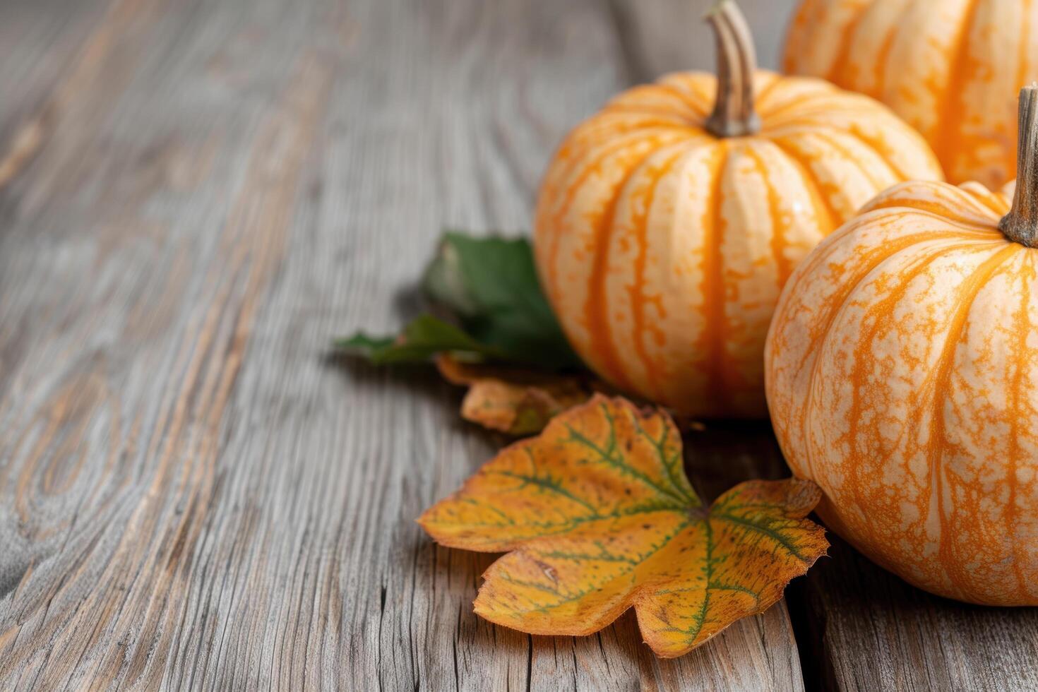Autumn pumpkins and leaves on wooden background photo