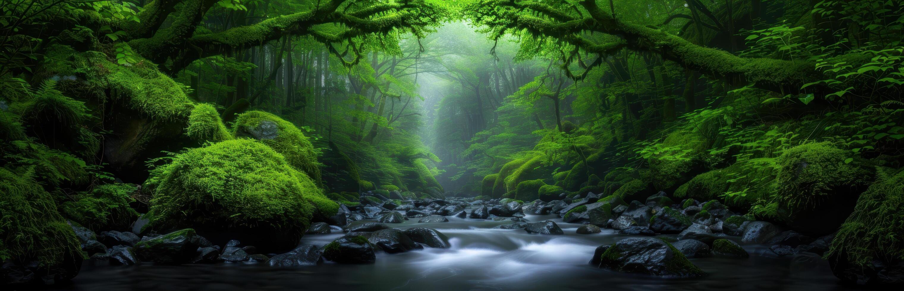 Lush green forest with flowing stream photo