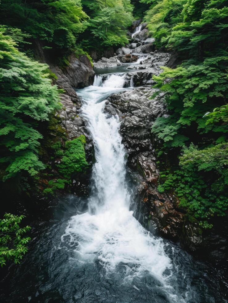 Cascading waterfall in lush green forest photo