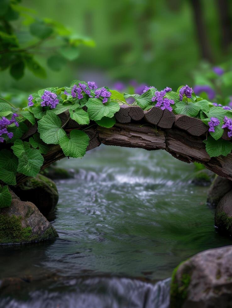 Serene forest stream with vibrant purple flowers photo
