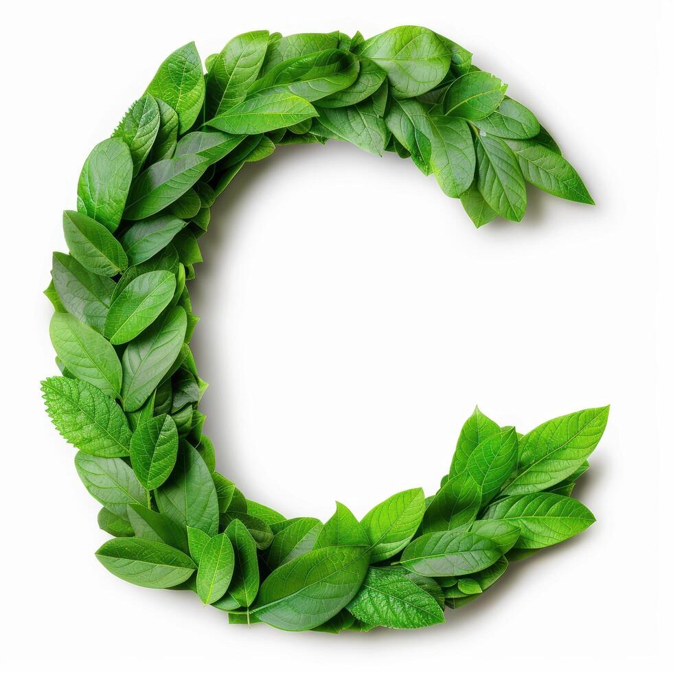 Wreath made of fresh green leaves photo