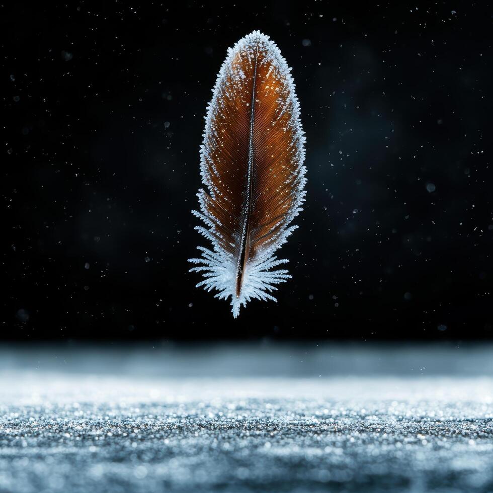 Frozen feather in winter wonderland photo