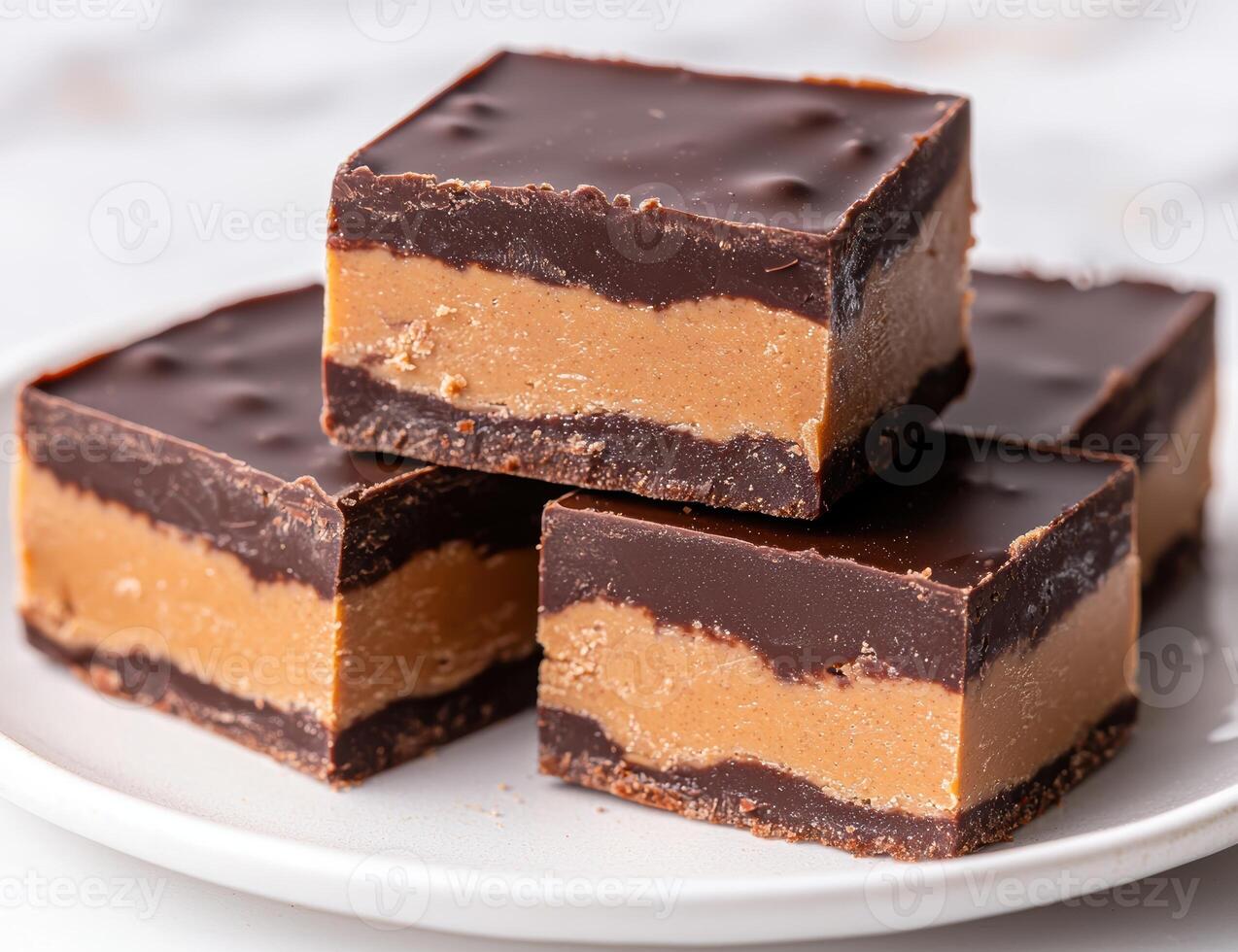 Delicious chocolate peanut butter fudge squares photo
