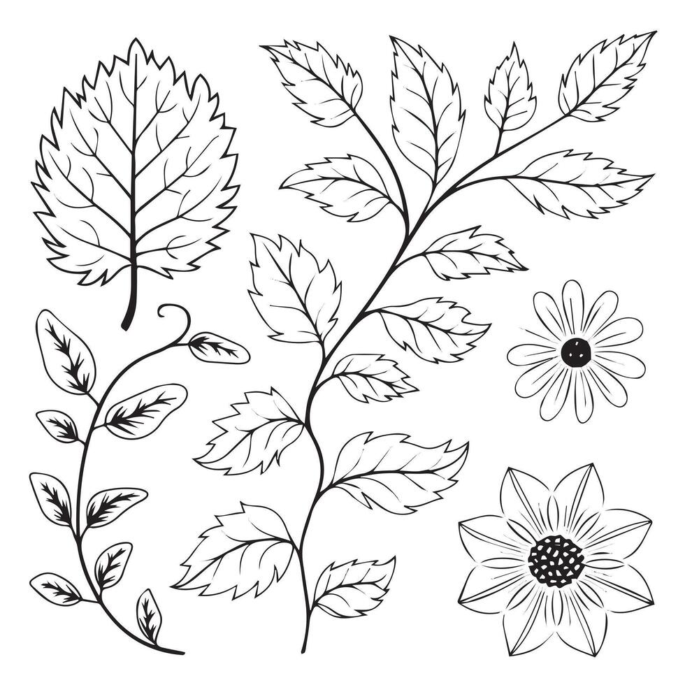 Detailed Botanical Leaf Ornament Design vector