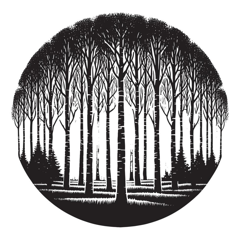 Minimalist Black Silhouette Design of Birch Grove on White Background vector