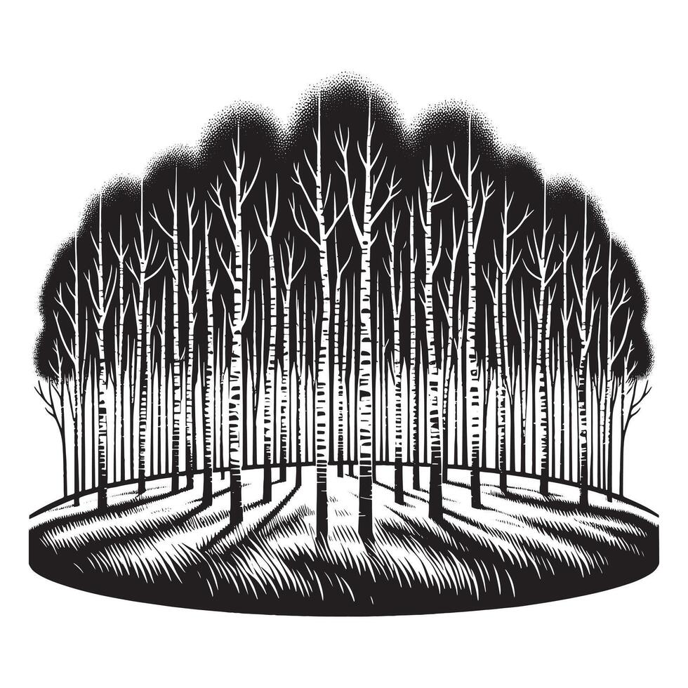 Minimalist Black Silhouette of Birch Grove Design on White Background vector