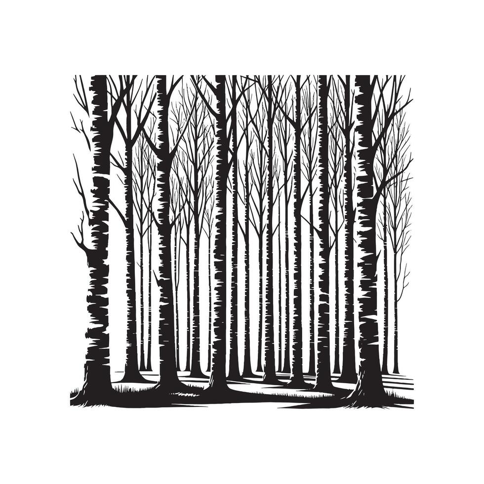 Black Silhouette of Birch Trees Grove Minimalist Design on White Background vector